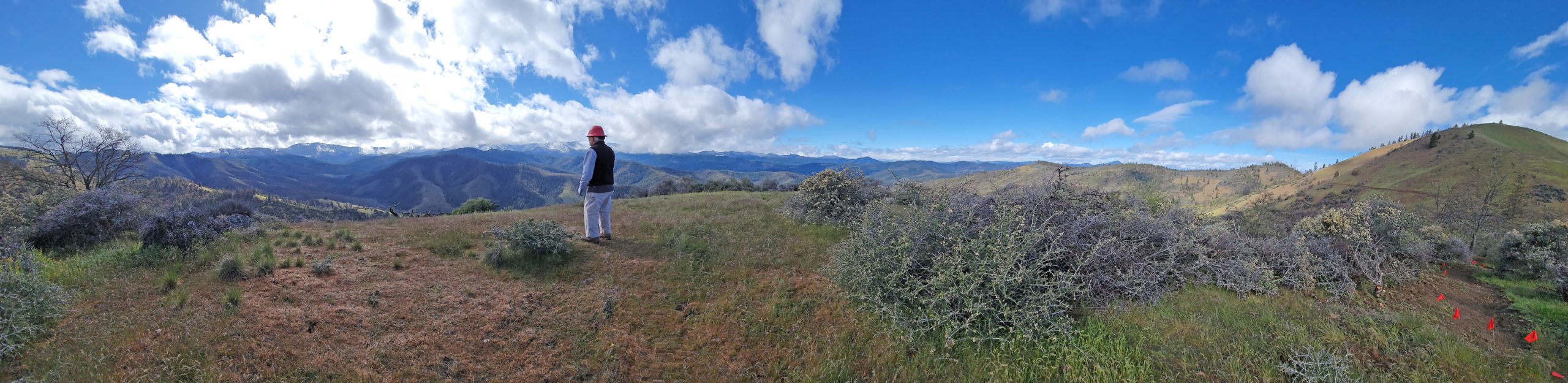 Panoramic view from the new Wolf Gap spur viewpoint trail. (Photo: A.Parsons)